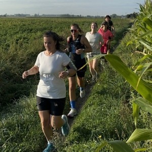 halve-volledige-marathon-training-in-groep-kortrijk